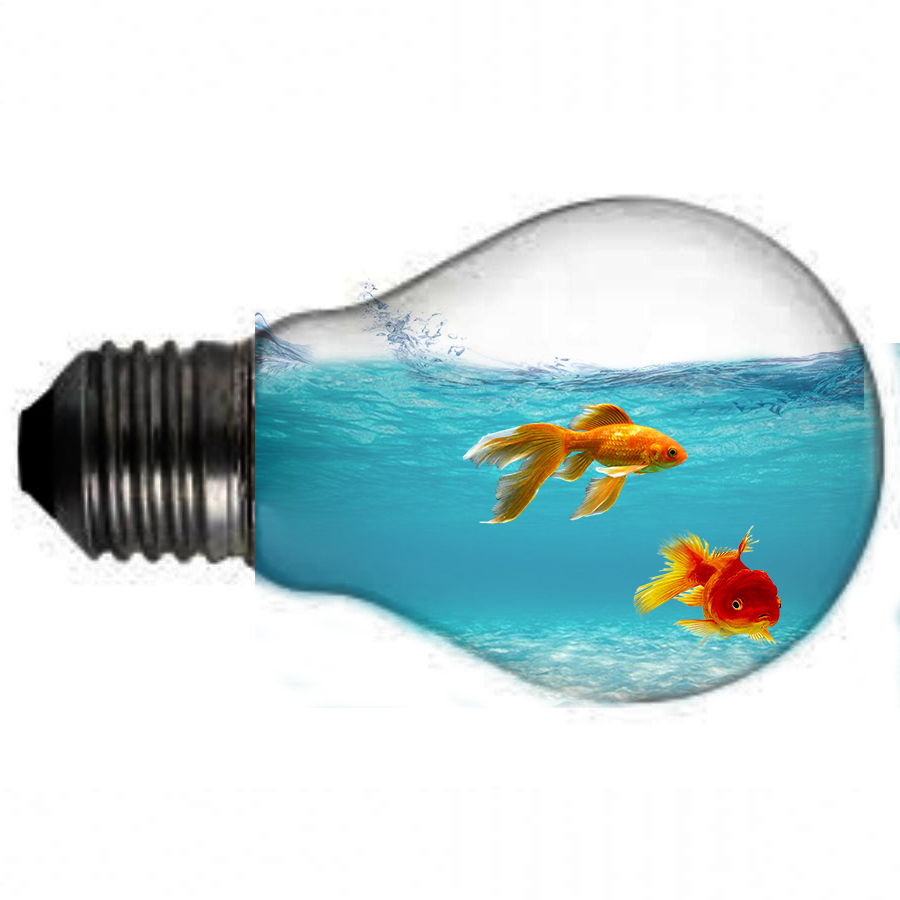 PHOTOSHOP ÇALIŞMALARIM